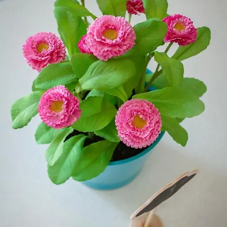 아파트 Rosella's *